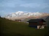 Mont-Blanc - Alpine pasture (high meadow), chalets and the Mont Blanc mountain range