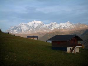 Mont-Blanc - Alpine pasture (high meadow), chalets and the Mont Blanc ...