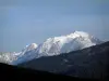 Mont-Blanc - From the Col des Aravis pass, view of a spruce forest and the Mont Blanc mountain range