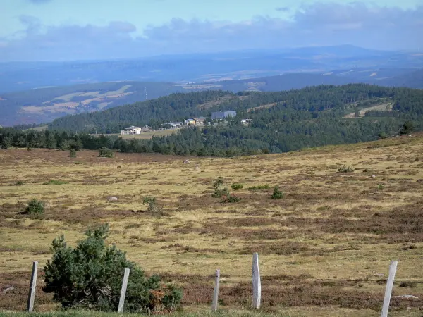 Mont Lozère - Parc National des Cevennes: uitzicht op de hellingen van de berg Lozère, overdekte heide, en het omringende landschap