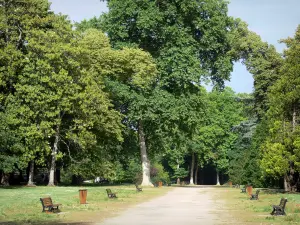 Mont-de-Marsan - Park Jean-Rameau: Allee gesäumt von Sitzbänken und Bäumen