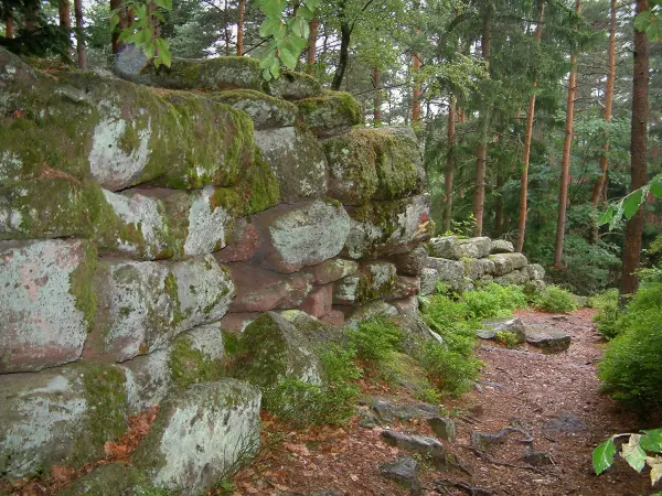 Mont Sainte-Odile - Pagan muur, pad en de bomen van het bos