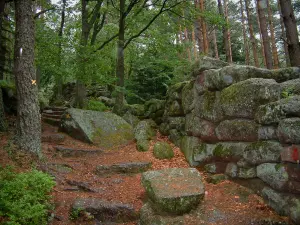 Mont Sainte-Odile - Pad, heidense muur en bomen in het bos
