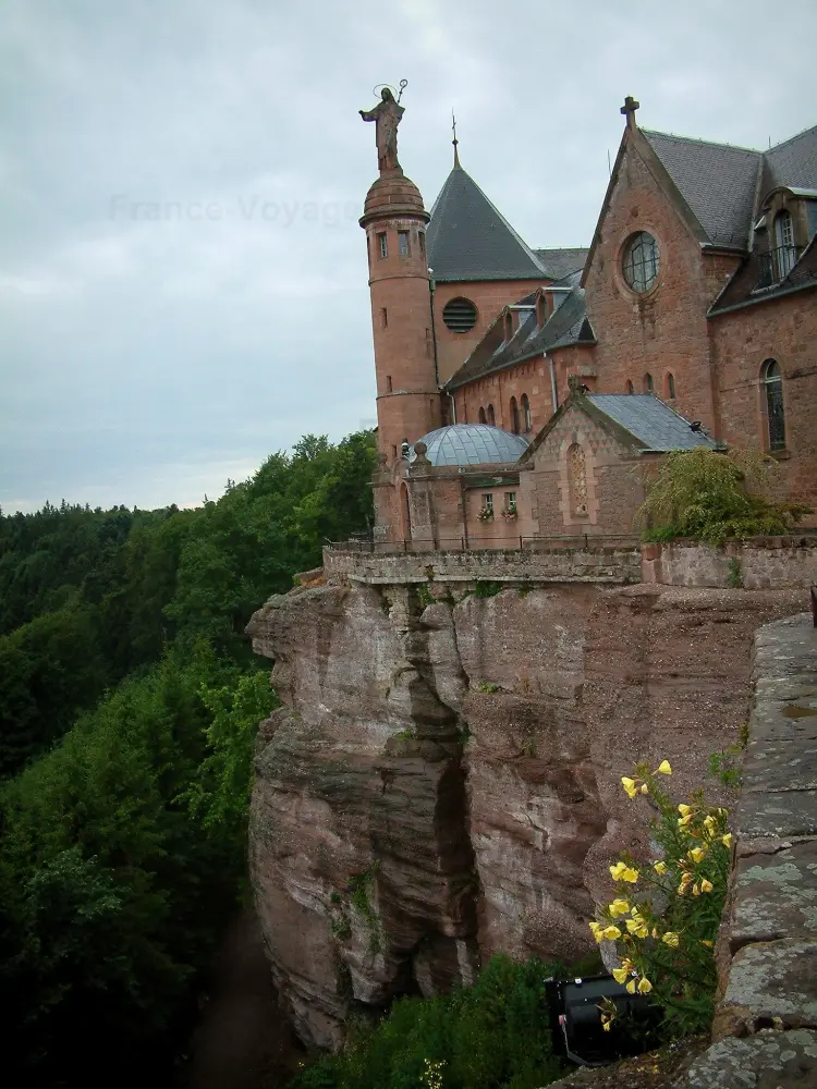 Le mont Sainte-Odile - Mont Sainte-Odile: Couvent (monastère) au sommet de la falaise de grès rose, fleurs sauvages et arbres de la forêt en contrebas