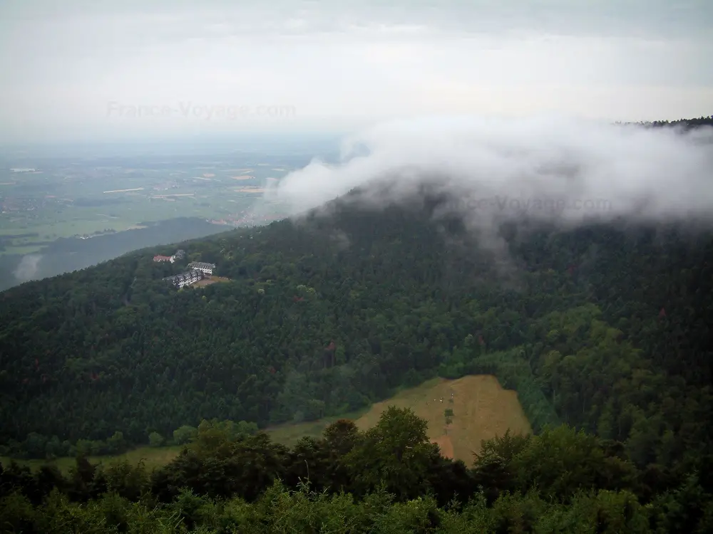 Le mont Sainte-Odile - Mont Sainte-Odile: De la terrasse du couvent (monastère), vue sur la forêt avec un nuage et la plaine d'Alsace en arrière-plan