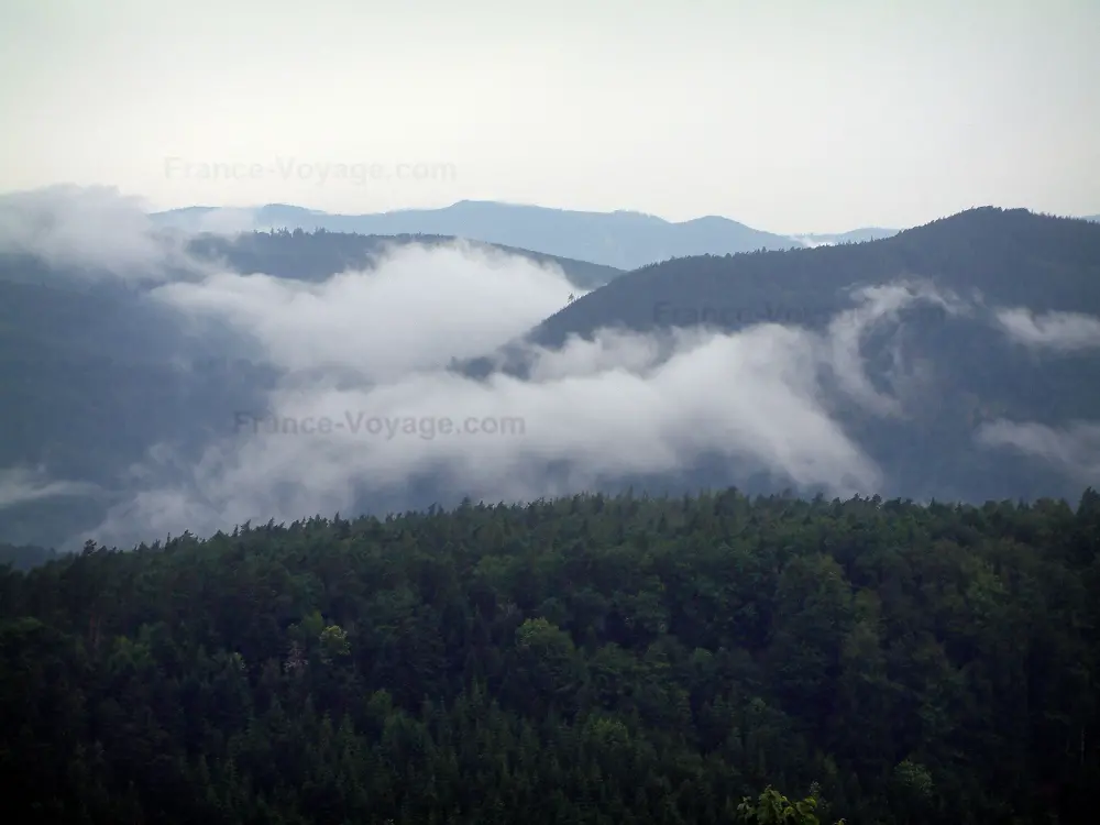 Le mont Sainte-Odile - Mont Sainte-Odile: De la terrasse du couvent (monastère), vue sur les collines couvertes de forêt et les nuages