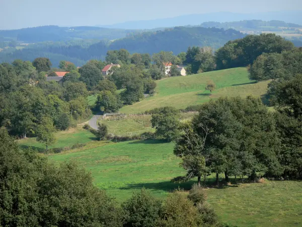 Montagna borbonese - Prati, alberi, case e boschi