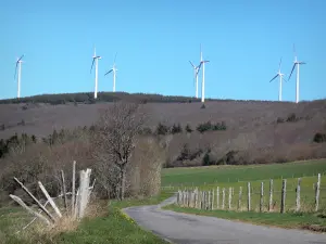 Montagna Nera - Wind, bosco e piccola strada fiancheggiata da paddock recintato