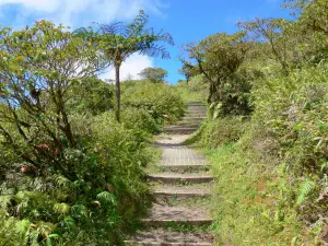 Montagna Pelée - Sentiero che porta alla sommità del vulcano; nel Parco Naturale Regionale della Martinica