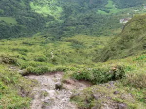 Montagna Pelée - Verde paesaggio visto dal sentiero Spoiler