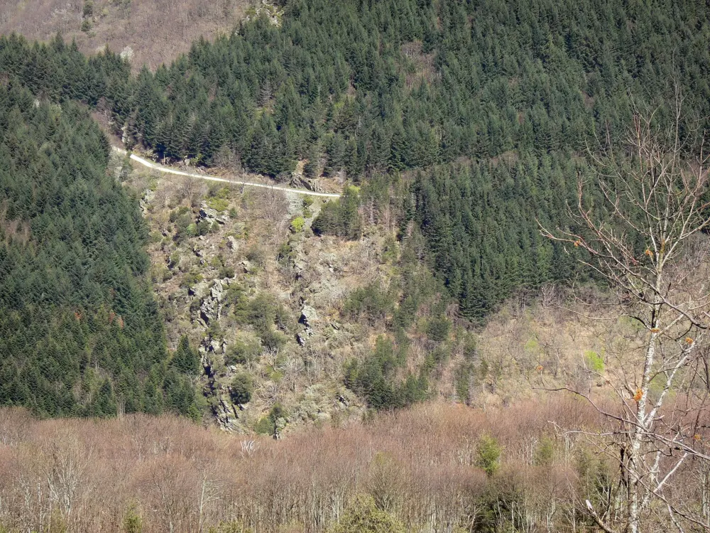 Montagne Noire - Bekijk op een kleine weg omzoomd met bossen