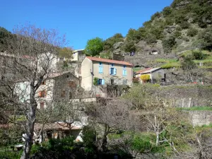 Montagne Noire - Maisons du village de Roquefère