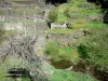 La Montagne Noire - Montagne Noire: Jardins en terrasses et table de pique-nique au bord de l'eau, à Roquefère