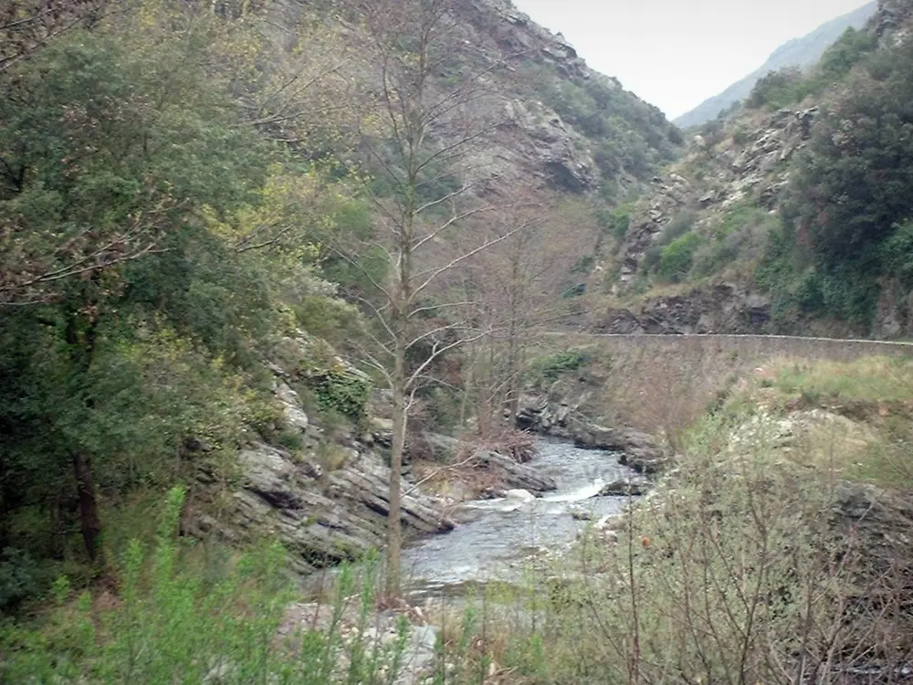 Montagne Noire - Rivier in een groene en steile