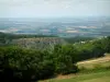 La Montagne Noire - Montagne Noire: Arbres, forêt et vallée en arrière-plan (Parc Naturel Régional du Haut-Languedoc)