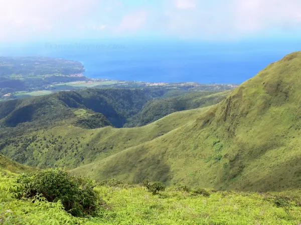 Montagne Pelée - Vue sur le littoral martiniquais et la mer des Caraïbes depuis les pentes verdoyantes du volcan en activité, dans le Parc Naturel Régional de la Martinique