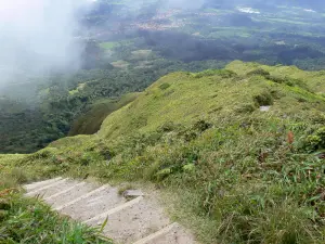 Montagne Pelée - Vue sur les pentes du volcan et le paysage verdoyant alentour depuis le sentier de l'Aileron