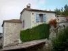 Montaigu-de-Quercy - Stone house