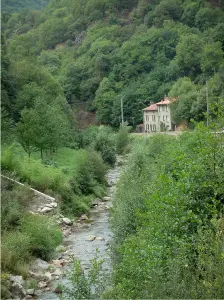 Montaña Negra - Río, los árboles, las casas y los bosques (Parque Natural del Alto Languedoc)