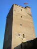 Montaner - Torre cuadrada del castillo medieval Montaner