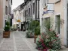 Montargis - Rue piétonne fleurie (fleurs) bordée de maisons et de commerces