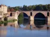 Montauban - Pont Vieux enjambant la rivière Tarn et façades de maisons de la ville