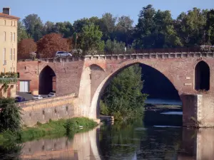 Montauban - L'une des arches du Pont Vieux enjambant la rivière Tarn