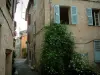 Montaurouxの - 花、路地、そして村の家々のつる