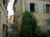 Montauroux - Plantes grimpantes à fleurs, ruelle et maisons du village