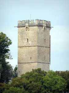 Montbard - Aubespin-Turm, Überbleibsel der alten mittelalterlichen Festung, im Buffon-Park