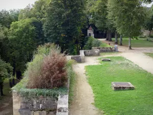 Montbard - Schlendern Sie durch den mit Bäumen geschmückten Buffon-Park