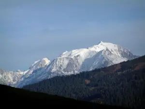 Montblanc - Vom Bergpass Aravis aus, Blick auf einen Tannenwald und das Massiv Montblanc