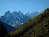 Montblanc - Von dem Bergpass Montets aus, Blick auf einen Wald im Herbst und Massiv Montblanc