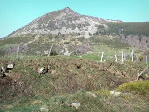 Monte Mézenc - Parco Naturale Regionale dei Monti d'Ardèche - Ardèche Montagna: vista sul Monte Mzenc