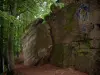 Monte Santa Odilia - Acantilado de piedra arenisca roja, las estaciones de cerámica de los árboles y el bosque de la Cruz