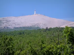 Monte Ventoux - Foresta e il Monte Ventoux (montagna di calcare) nella parte superiore ricoperta di pietre bianche