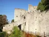 Montélimar - Fortifications of the Adhémar medieval castle