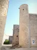 Montélimar - Tower of the Adhémar castle