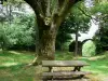 Montenoison Butte - Picnic table at the foot of a tree, and remains of the castle in the background