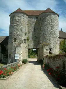 Montépilloy castle - Path lined with flowers and towers at the entrance
