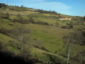 Montes de Lyonnais - Pastos, árboles y casas