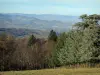 Montes de Lyonnais - El cuello de la vista Luère de los árboles (bosque) y las colinas de los alrededores