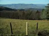Montes de Lyonnais - El cuello de los pastos Luère vistas, los árboles (bosque) y las montañas circundantes