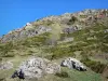 Monti dell’Ardèche - Rocce e vegetazione