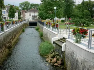 Montier-en-Der - O incluso de los ríos, casas y arreglos florales en lugar de Notre Dame, en el Pays du Der