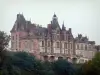 Montigny-le-Gannelon castle - Facade of the castle and trees, in the Loir valley