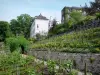 Montmartre - Vines of Montmartre