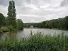 Montmorency forest - Pond of the Château de la Chasse in a green setting