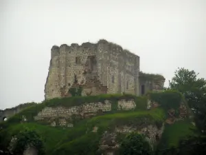 Montoire-sur-le-Loir - Las ruinas del castillo