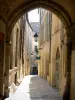 Montpellier - Alley in de oude stad met huizen